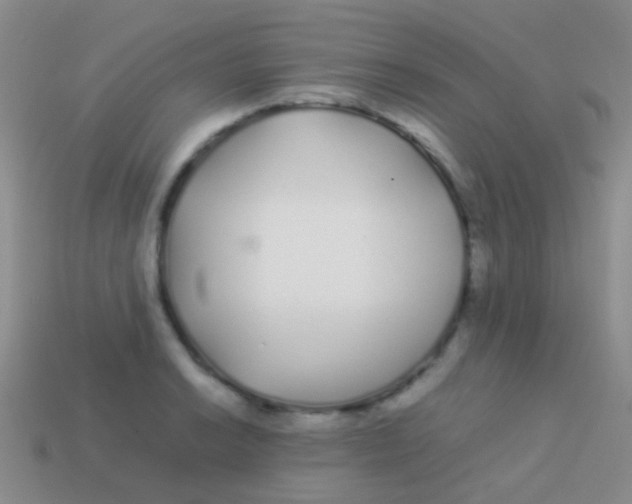 X0000113621038200910161948