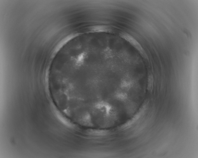 X0000113621039200910161948