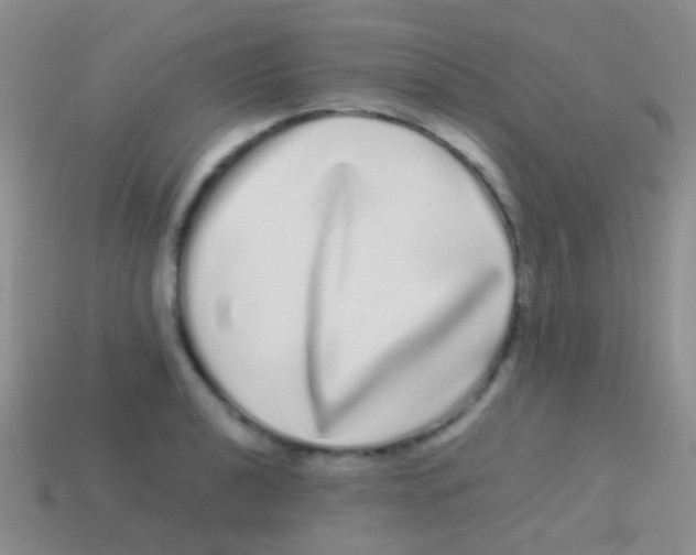 X0000113621040200910161948