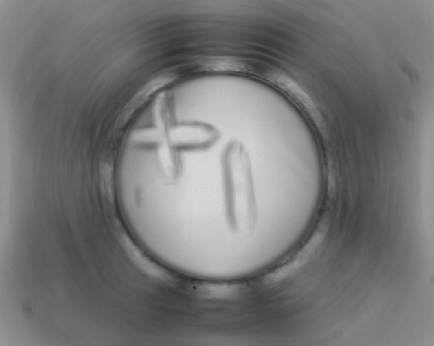 X0000113621041200910161948