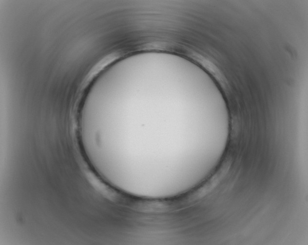 X0000113621042200910161948
