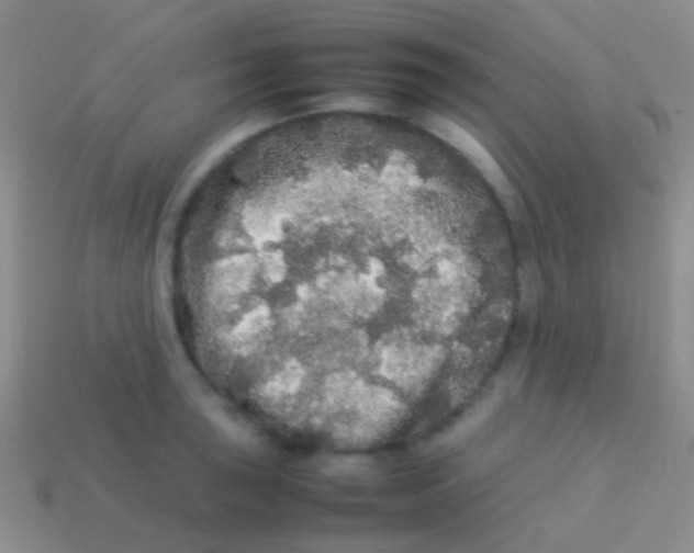 X0000113621043200910161948
