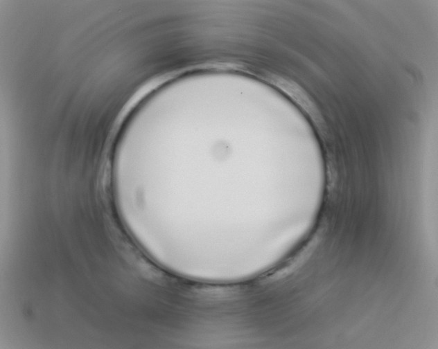 X0000113621044200910161948