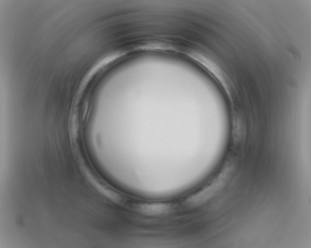 X0000113621045200910161948
