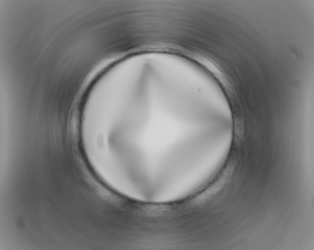 X0000113621046200910161948