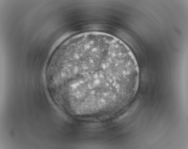 X0000113621047200910161948
