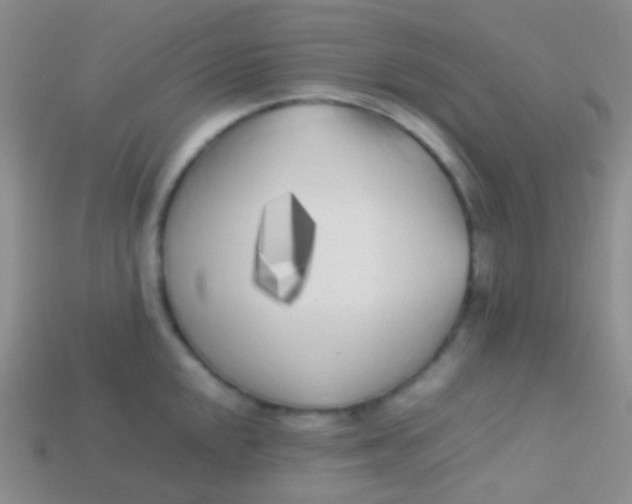 X0000113621048200910161948