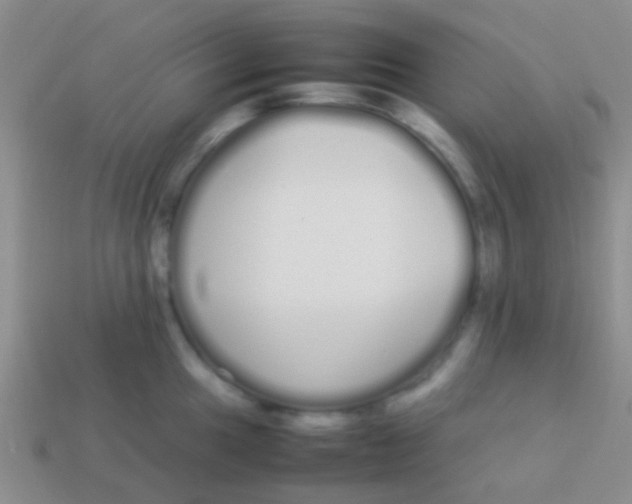 X0000113621049200910161948