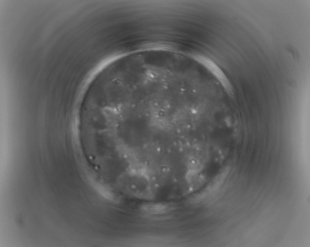 X0000113621051200910161948