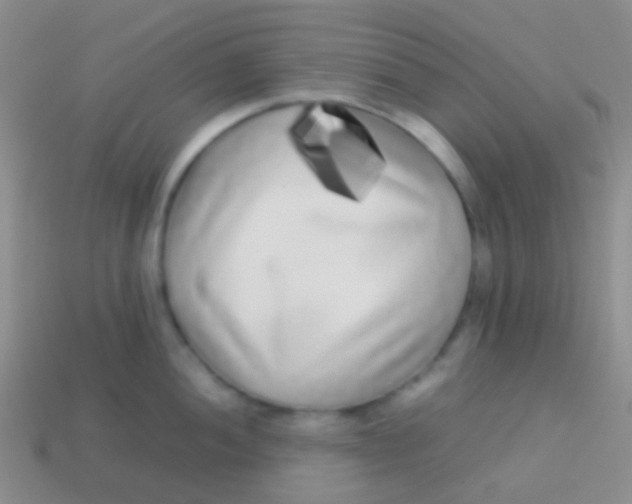 X0000113621052200910161948