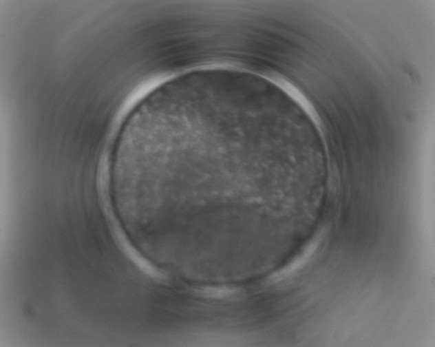 X0000113621053200910161948
