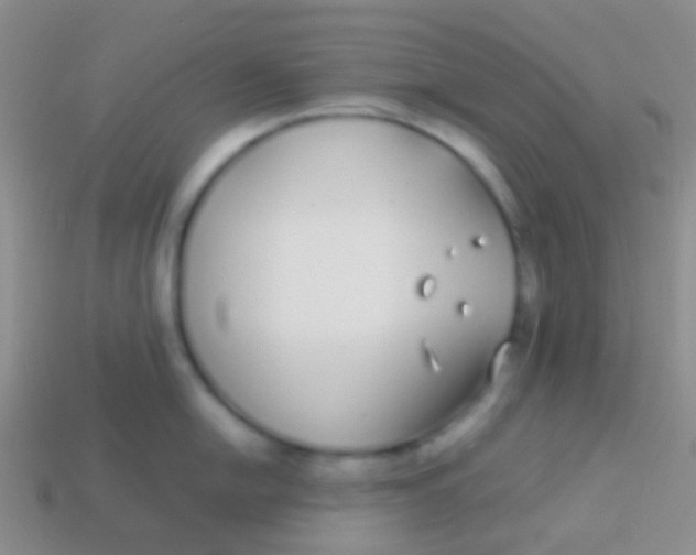 X0000113621054200910161948