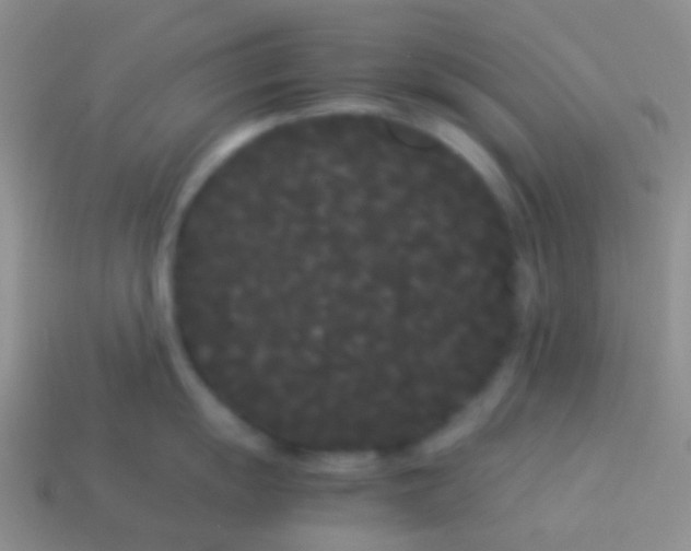 X0000113621055200910161948