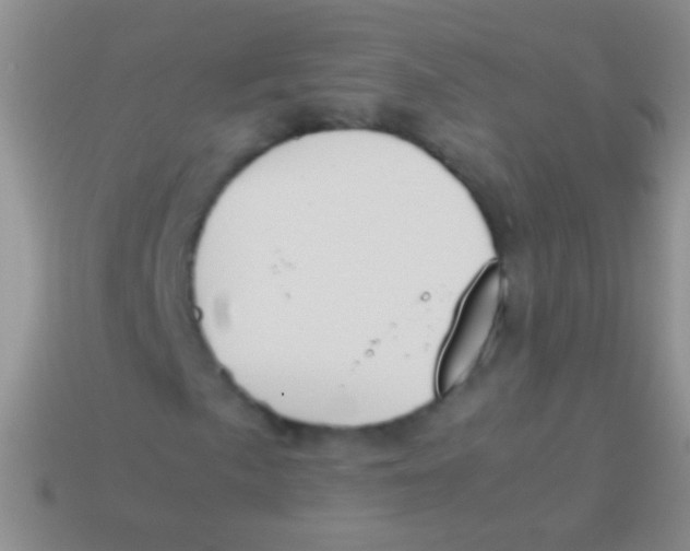 X0000113621057200910161948