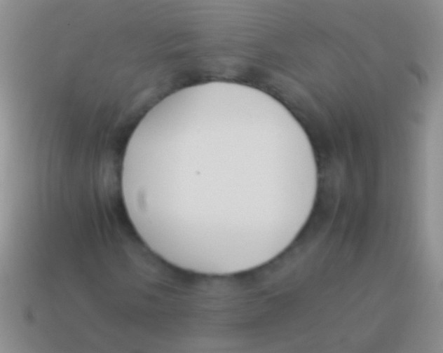 X0000113621058200910161948