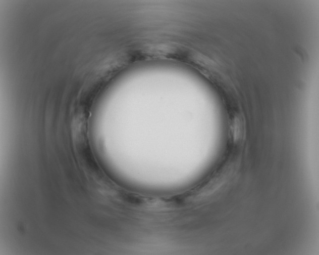X0000113621059200910161948