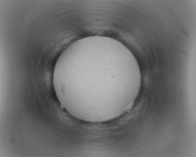 X0000113621060200910161948