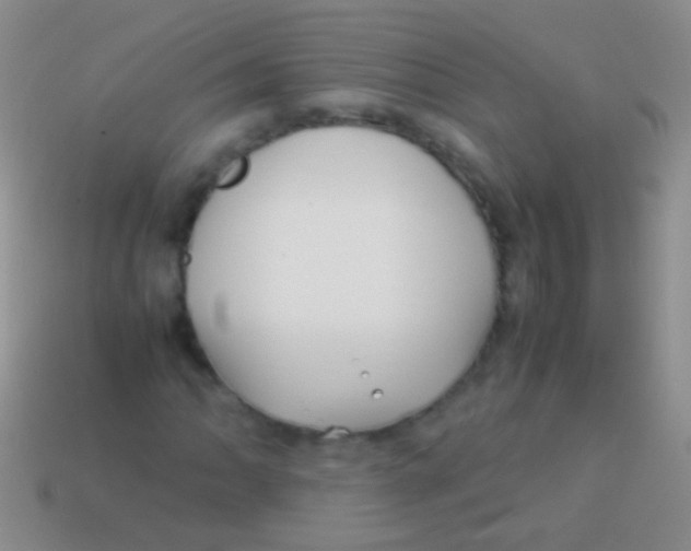 X0000113621062200910161948