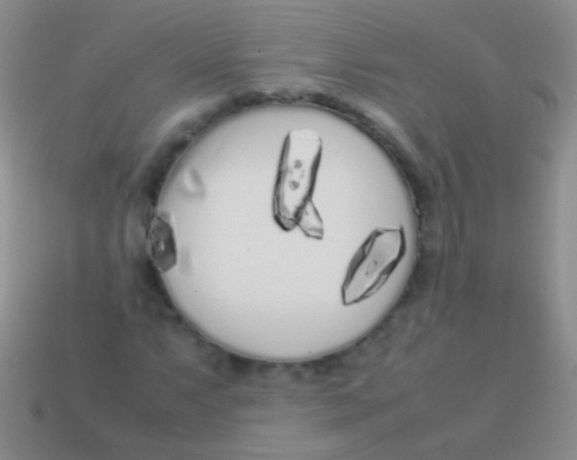 X0000113621063200910161948