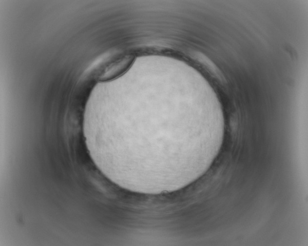 X0000113621064200910161948