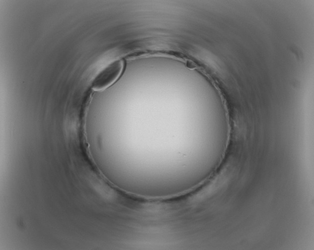 X0000113621065200910161948