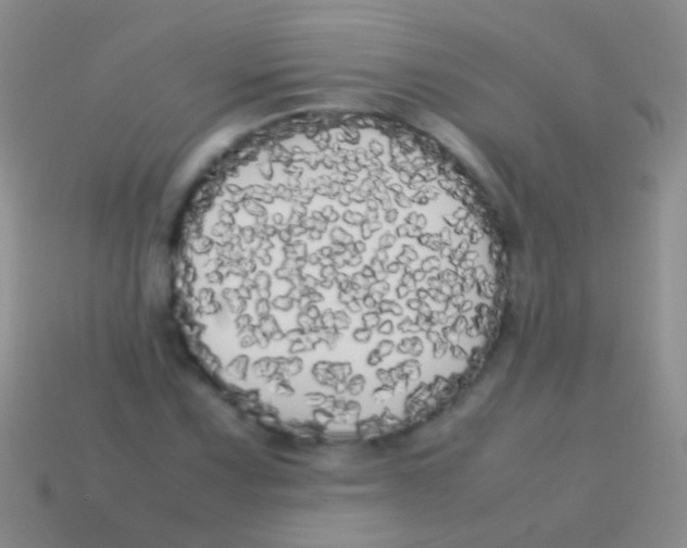 X0000113621067200910161947