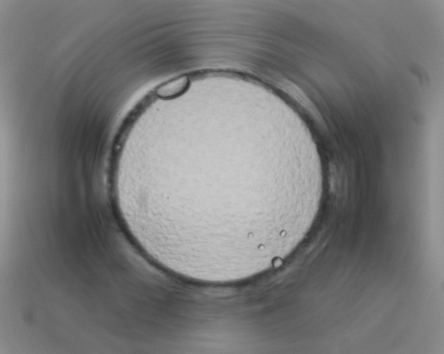 X0000113621068200910161947