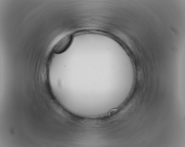 X0000113621069200910161947