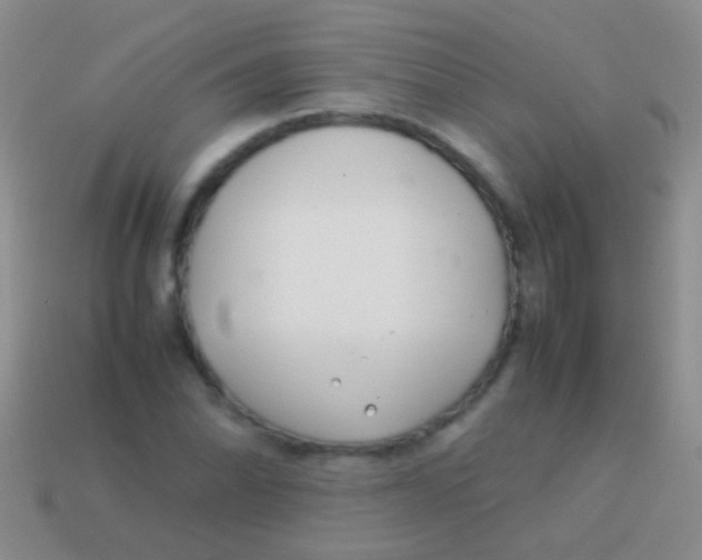 X0000113621070200910161947