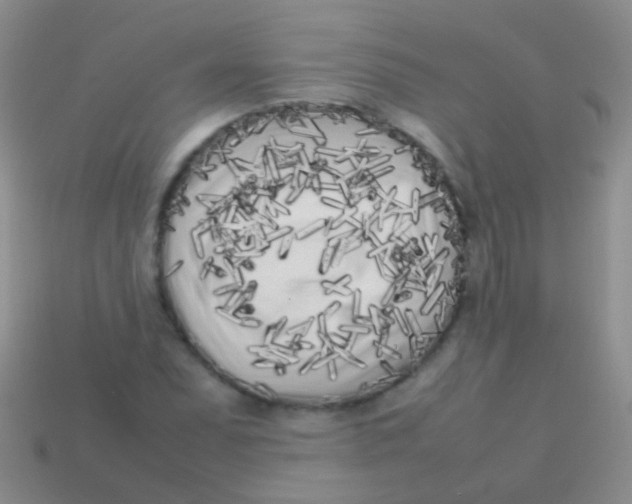 X0000113621071200910161947