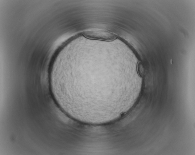X0000113621072200910161947