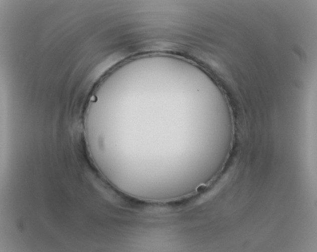 X0000113621073200910161947