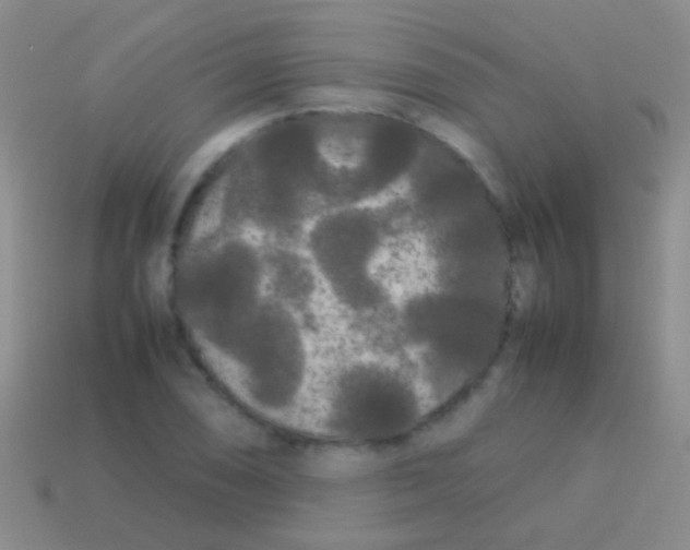 X0000113621074200910161947
