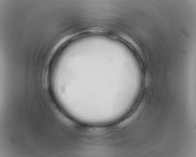 X0000113621075200910161947