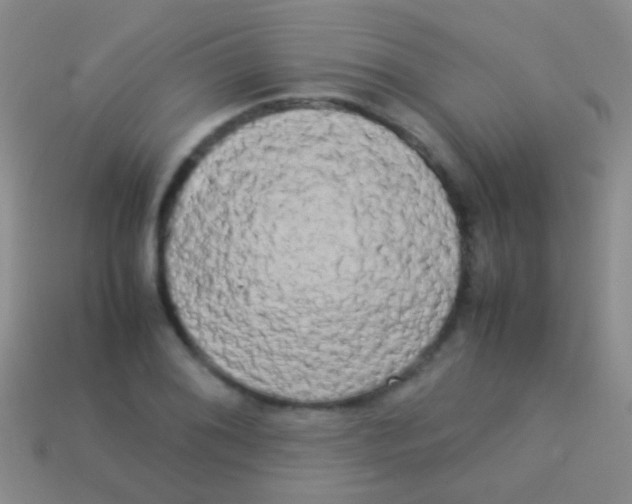 X0000113621076200910161947
