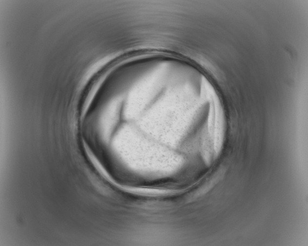 X0000113621077200910161947