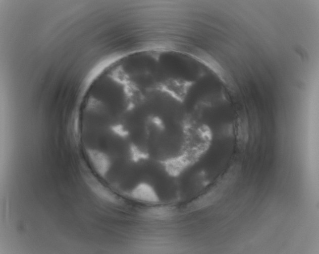 X0000113621078200910161947