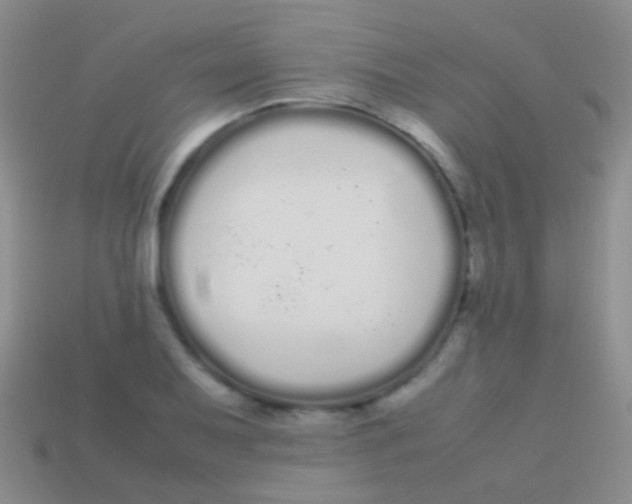 X0000113621079200910161947