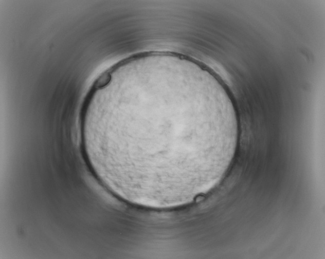 X0000113621080200910161947