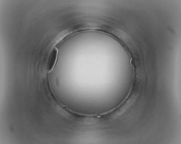 X0000113621081200910161947