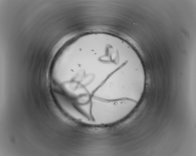 X0000113621082200910161947