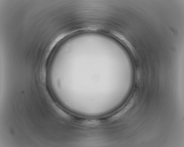 X0000113621083200910161947