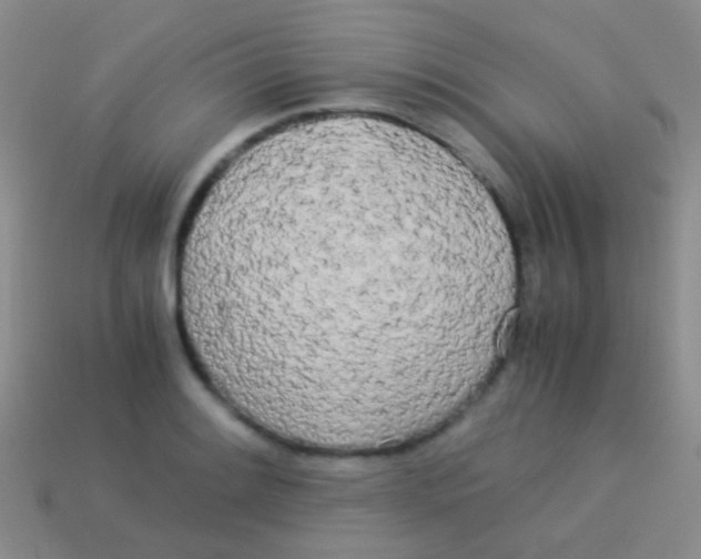 X0000113621084200910161947