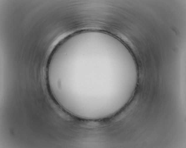 X0000113621085200910161947