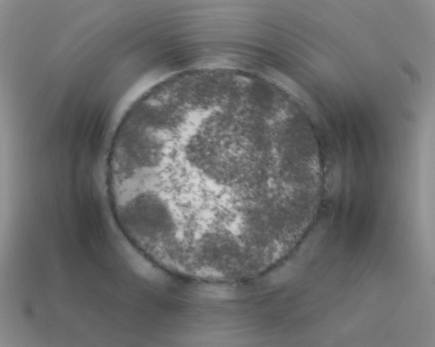 X0000113621086200910161947