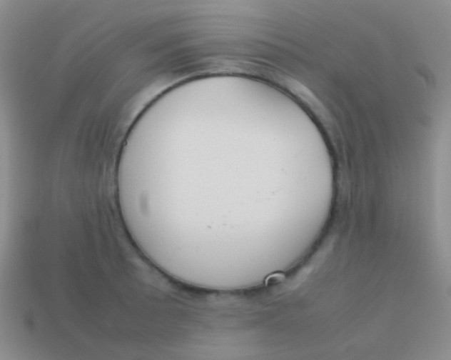 X0000113621089200910161947