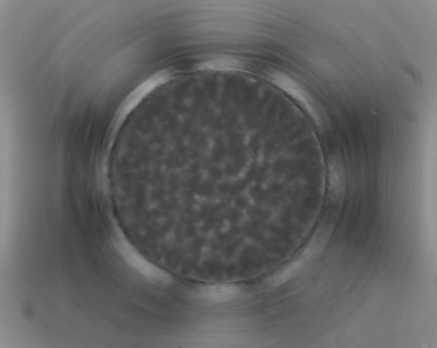 X0000113621090200910161947