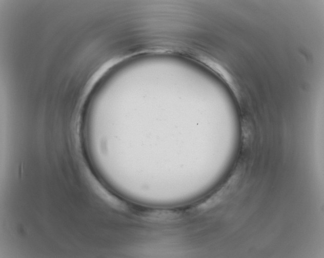 X0000113621091200910161947