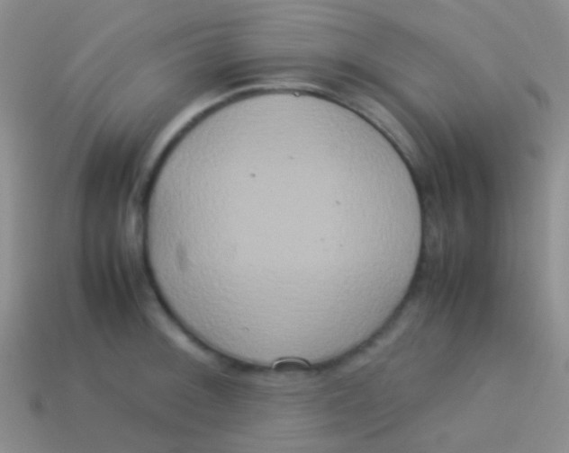 X0000113621092200910161947