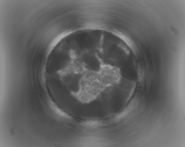 X0000113621094200910161947